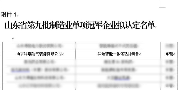 荣誉.jpg